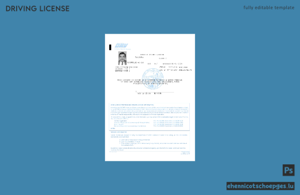 US-Kalifornien, Department of Motor Vehicles (DMV) – Beispiel für eine vorläufige Fahrerlaubnis